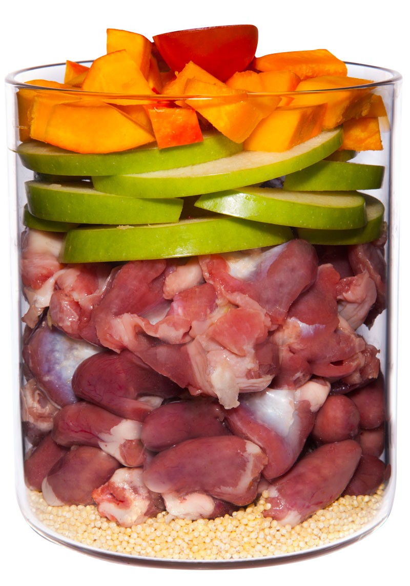 TC_insight_800_huhn_welpe