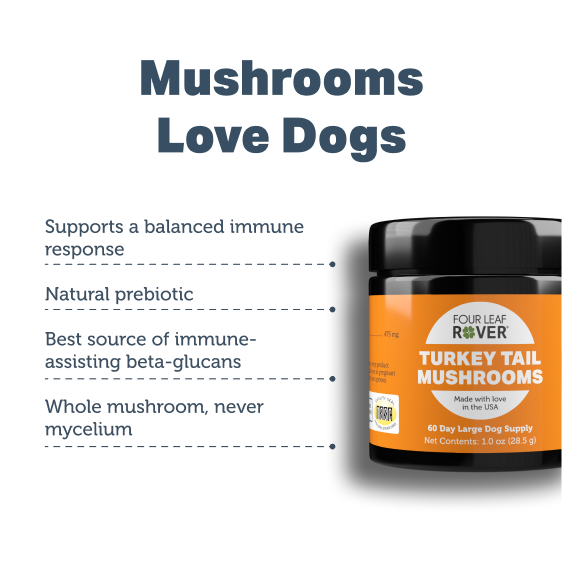 PBI-Benefits-Turkey Tail