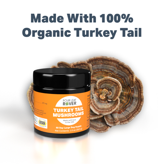 PBI-Ingredients-Turkey Tail