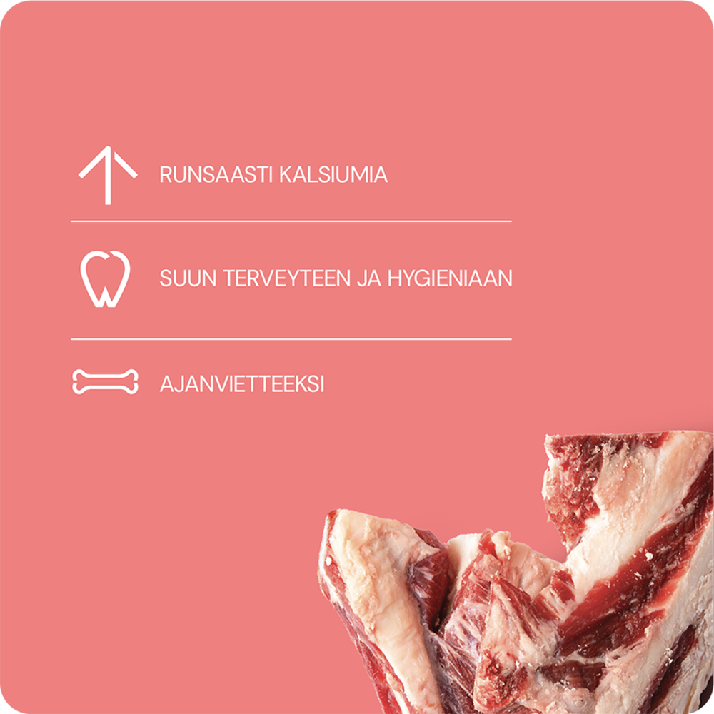 BEEF CARTILAGE 3