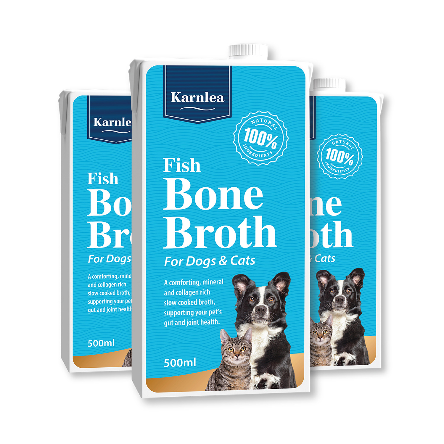 Fish-broth-x-3-1