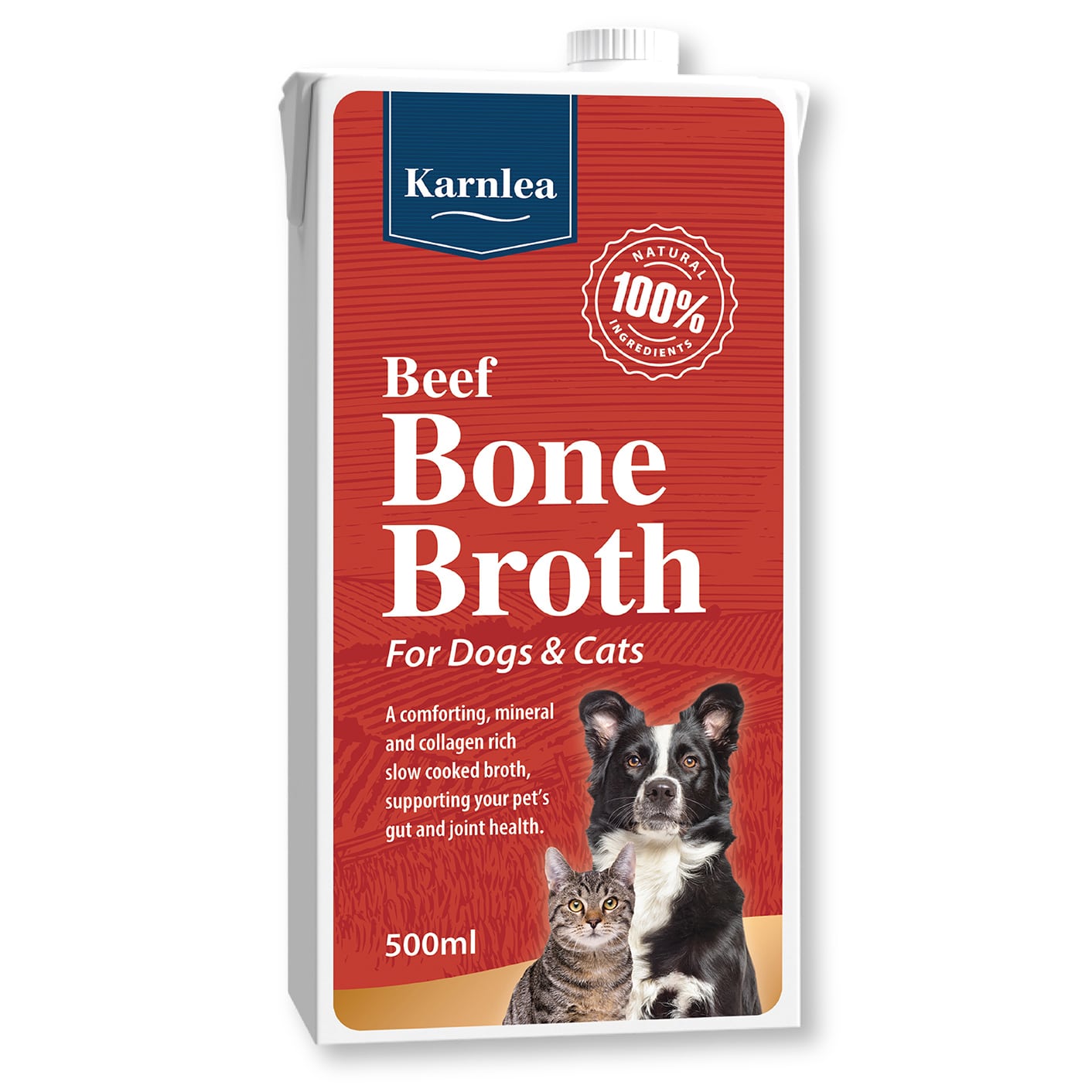 beef-bone-broth