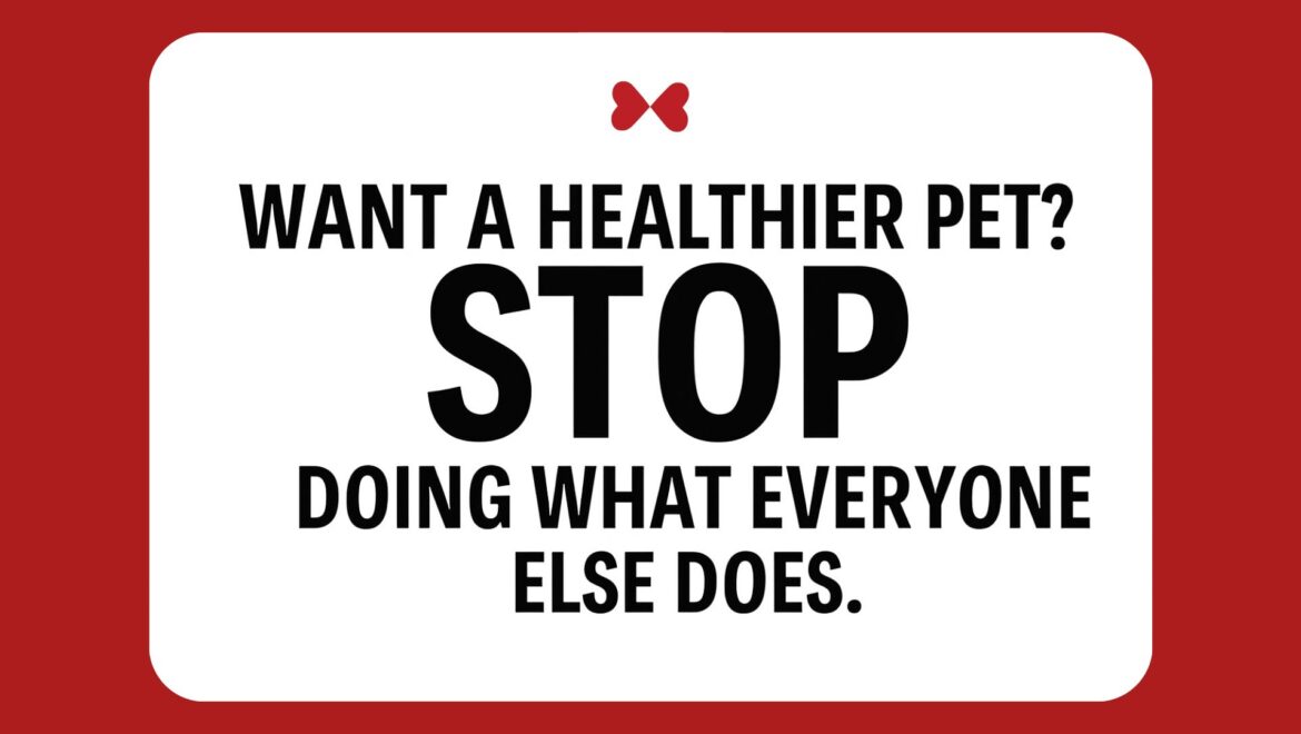 Building Lasting Health for Your Dog: A Layer-by-Layer Approach