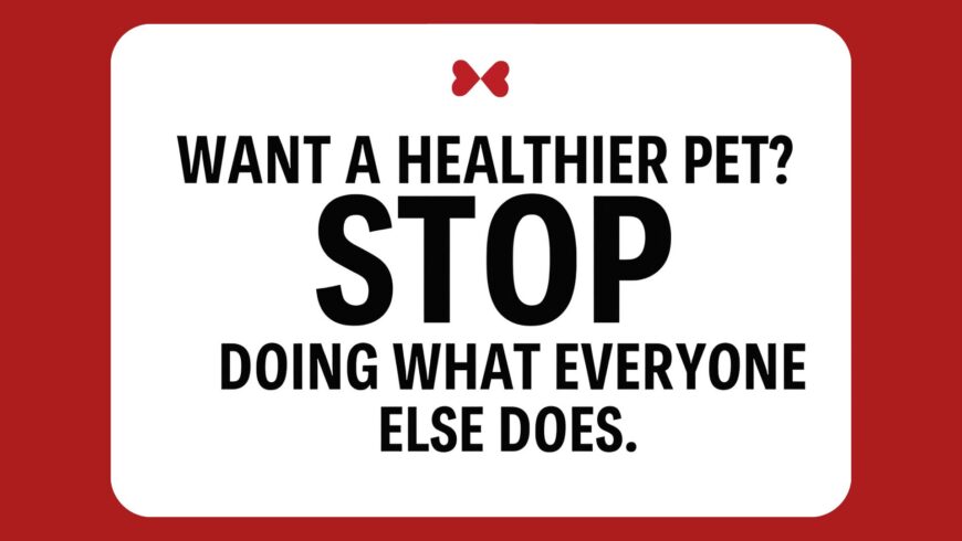 Building Lasting Health for Your Dog: A Layer-by-Layer Approach