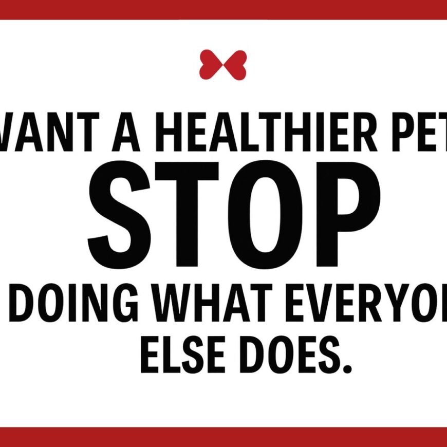 Building Lasting Health for Your Dog: A Layer-by-Layer Approach