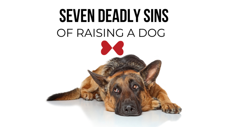 Seven Deadly Sins | Dog Edition